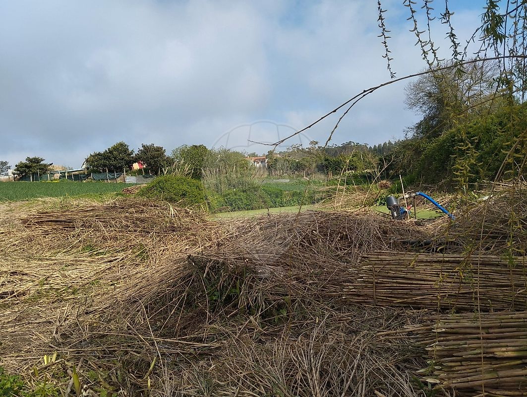 Moradia T2 à venda em Atouguia da Baleia, Peniche — foto 7