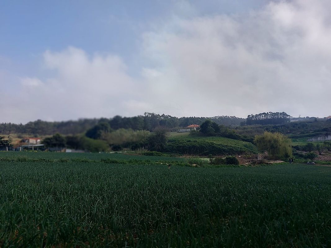 Moradia T2 à venda em Atouguia da Baleia, Peniche — foto 6
