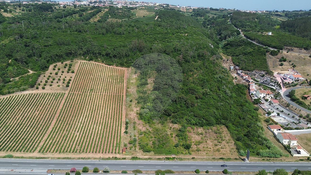 Terreno - Roliça, Bombarral, Leiria