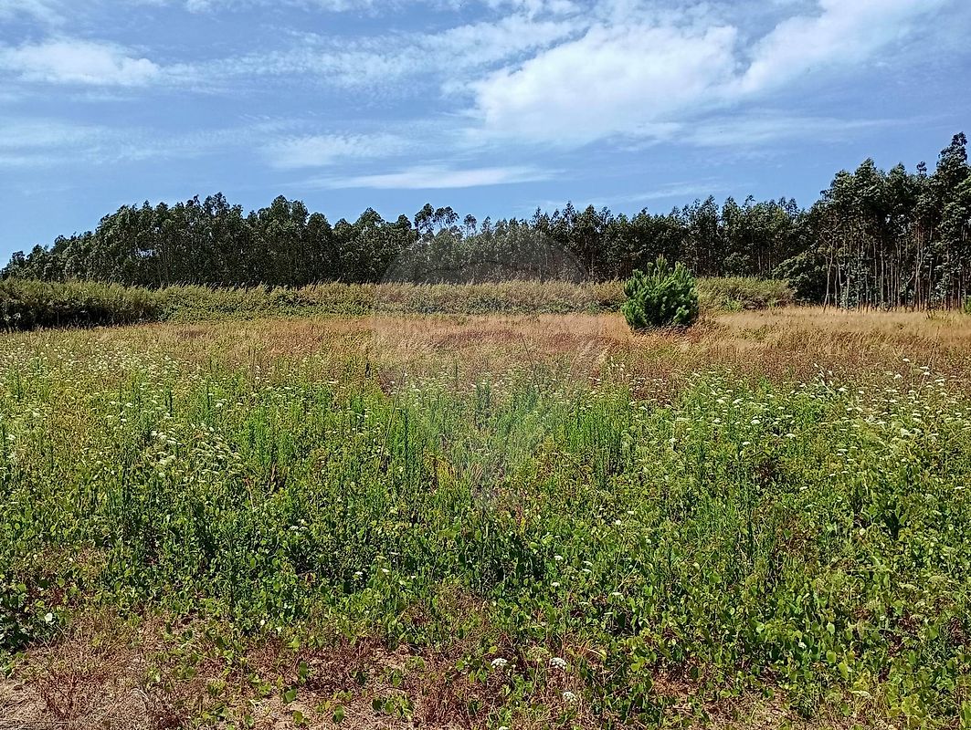 Terreno - Serra D'El Rei, Peniche, Leiria
