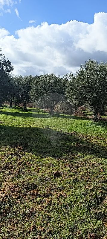 Terreno  à venda em Grândola