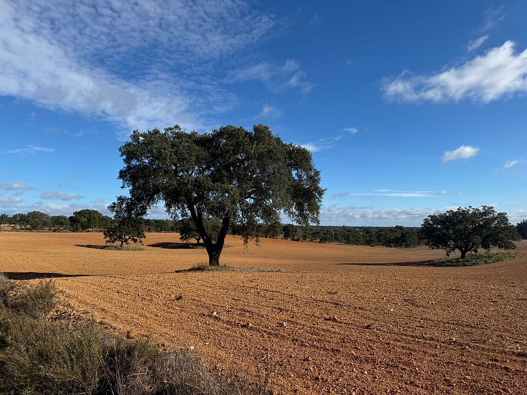 Land for sale in Santiago do Cacém, Portugal — €299,900