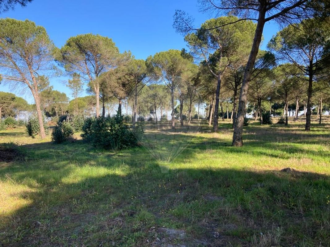 Terreno  para venda