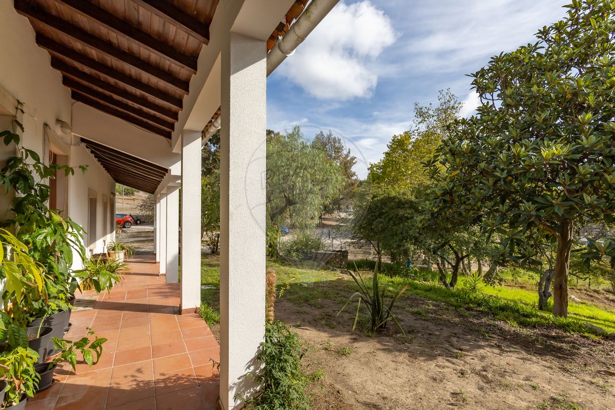 listing 123991176-38 picture-0