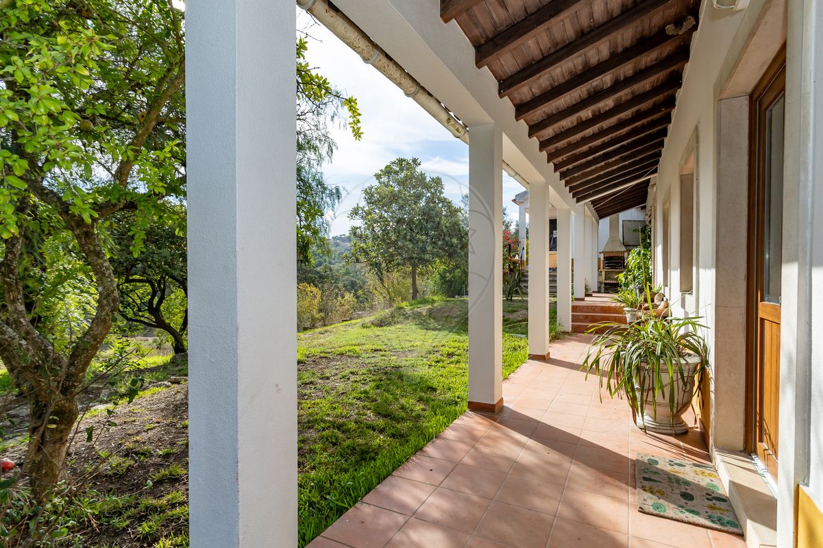 listing 123991176-38 picture-0