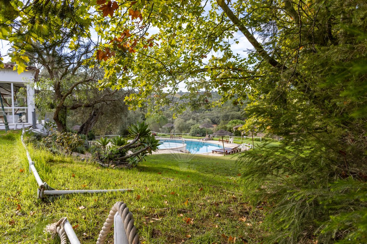 listing 123991176-38 picture-0