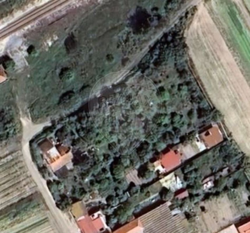 123991225-9