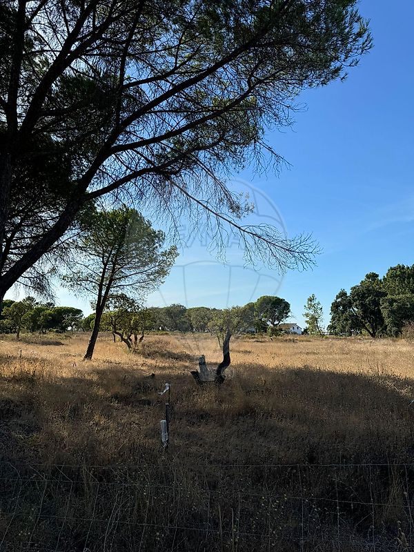 Terreno - Poceirão e Marateca, Palmela, Setúbal
