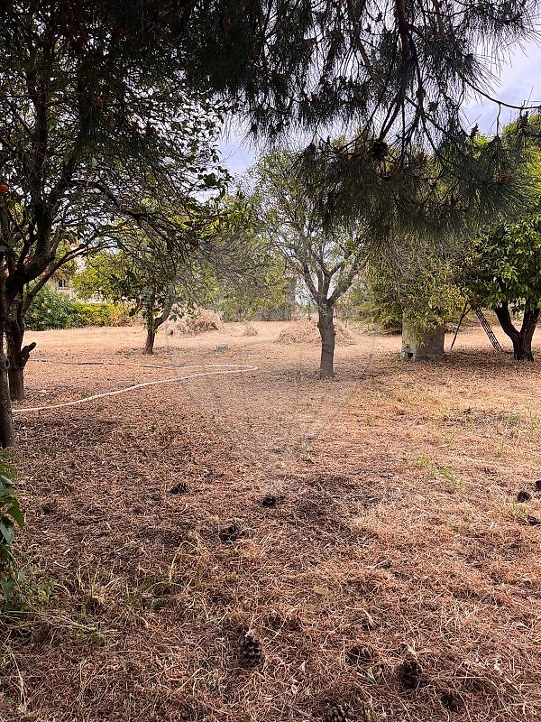 Moradia T3 à venda em Azeitão (São Lourenço e São Simão), Setúbal — foto 21