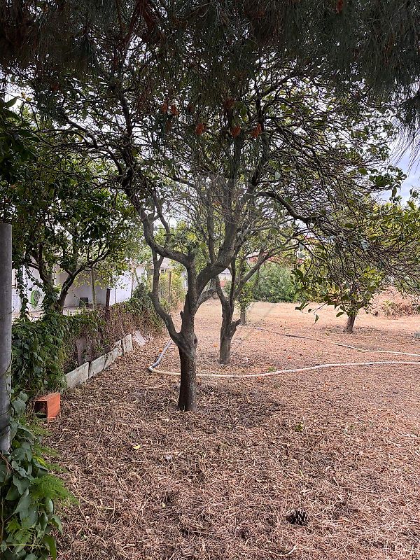 Moradia T3 à venda em Azeitão (São Lourenço e São Simão), Setúbal — foto 19