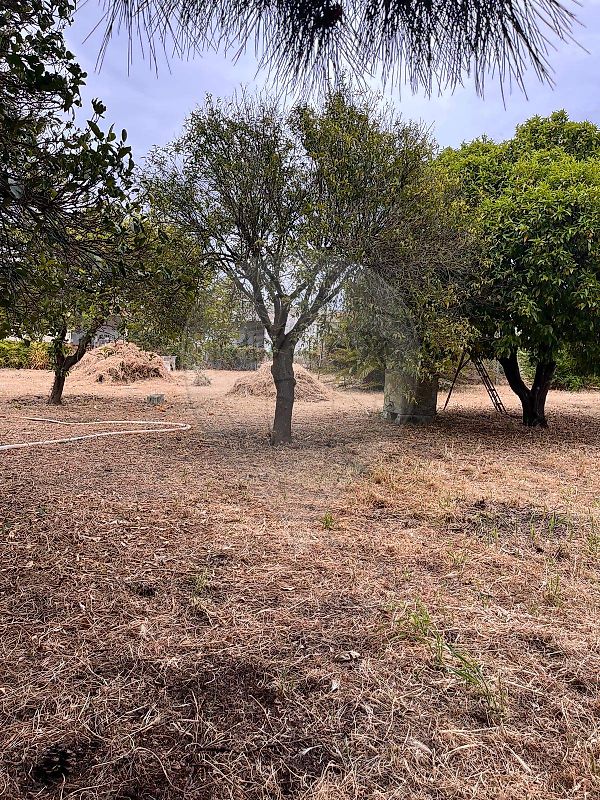 Moradia T3 à venda em Azeitão (São Lourenço e São Simão), Setúbal — foto 22