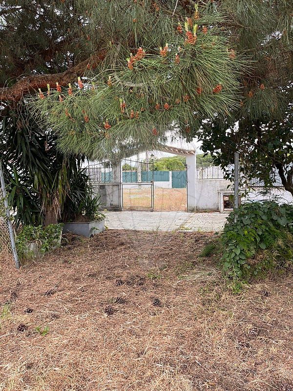 Moradia T3 à venda em Azeitão (São Lourenço e São Simão), Setúbal — foto 18