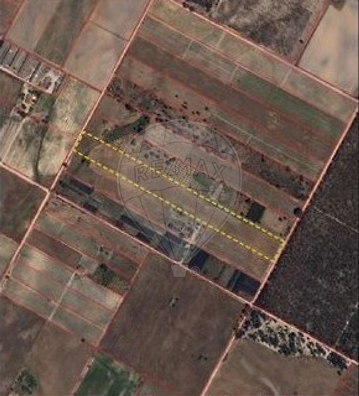 Terreno - Pegões, Montijo, Setúbal