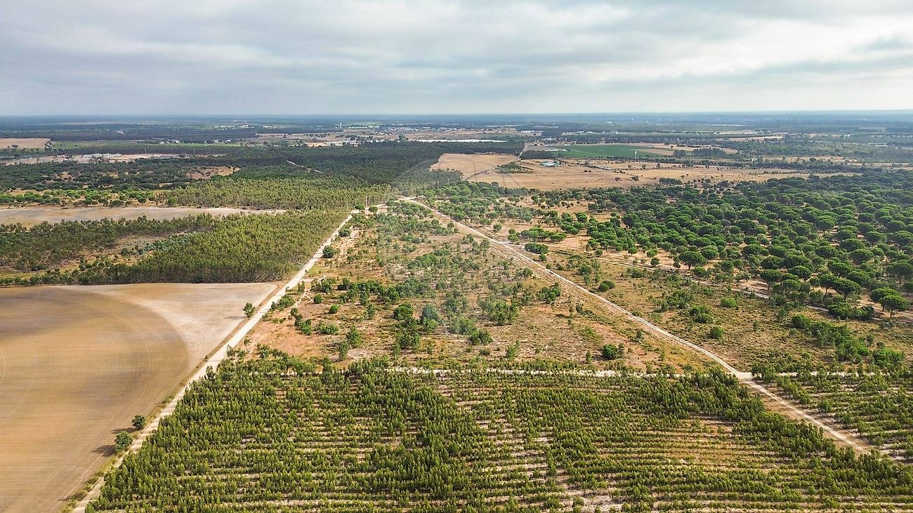 Terreno - Pegões, Montijo, Setúbal