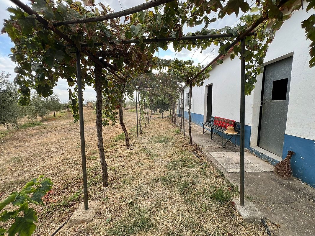 Moradia T1 para venda