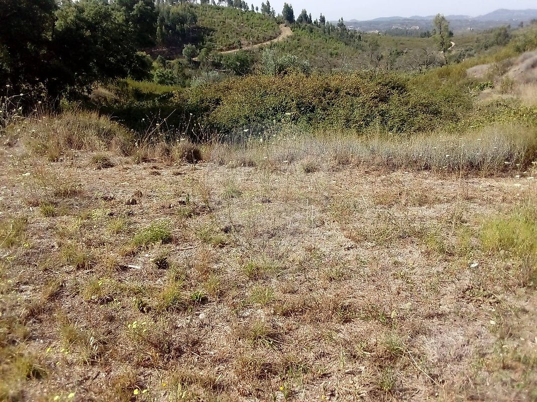 Terreno para venda