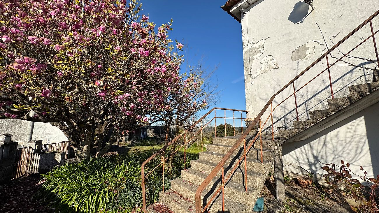 listing 124021145-48 picture-0