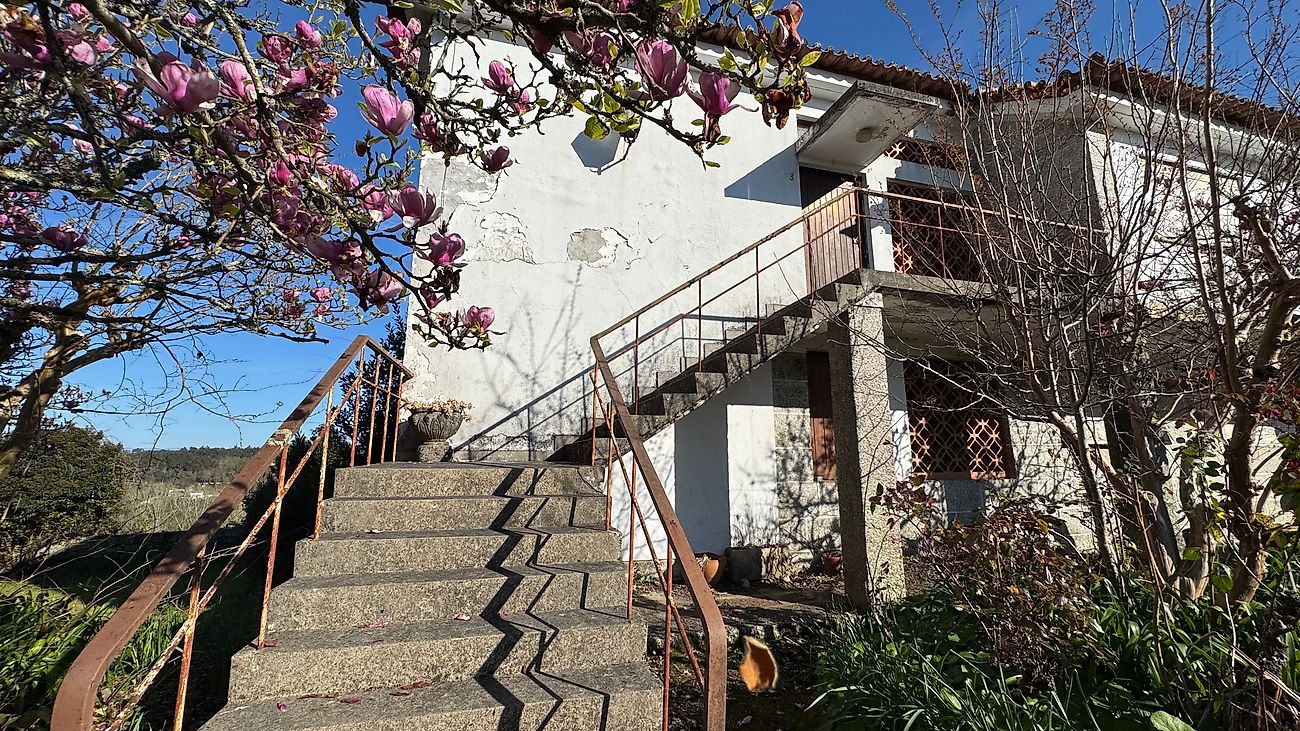 listing 124021145-48 picture-0