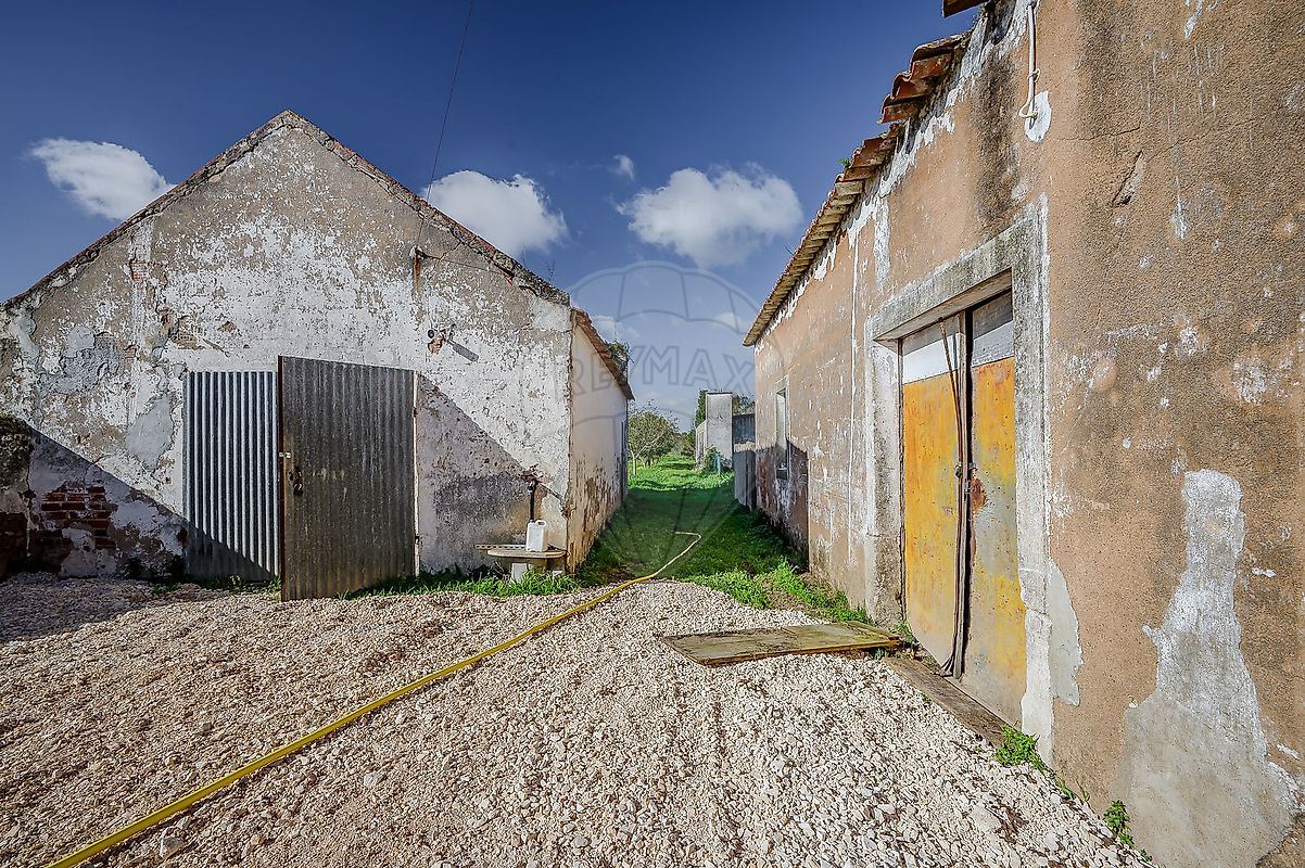 listing-picture-0