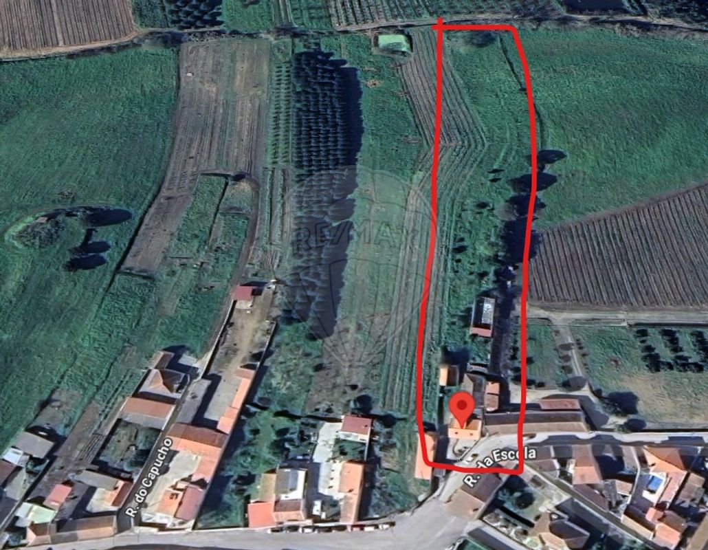 listing-picture-0