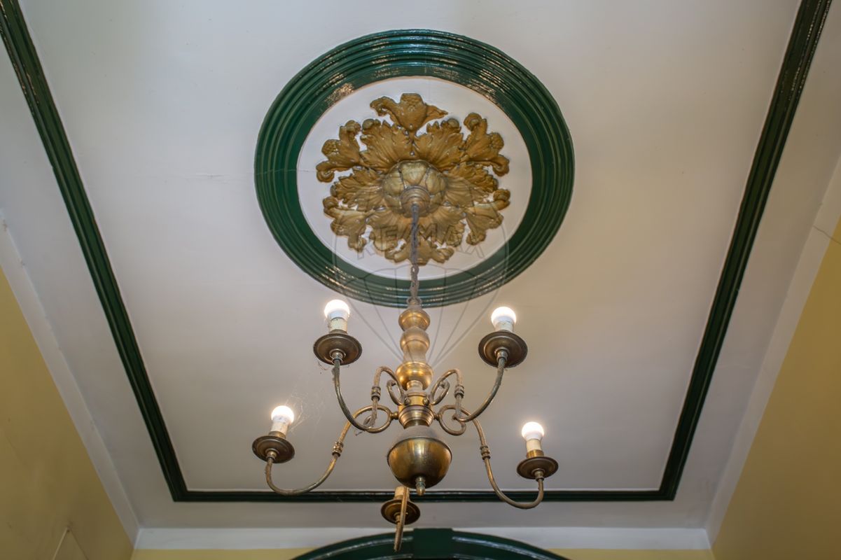 listing 124021040-290 picture-0