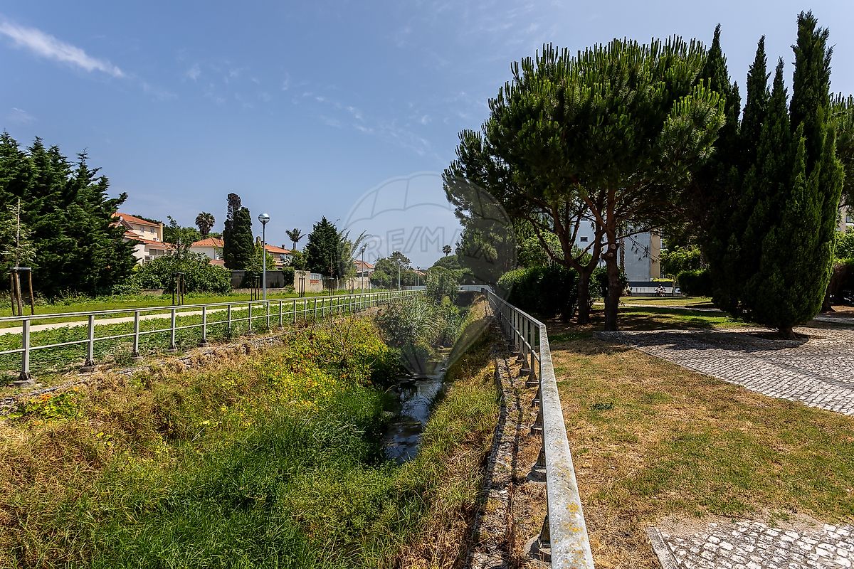 listing 124031301-170 picture-0