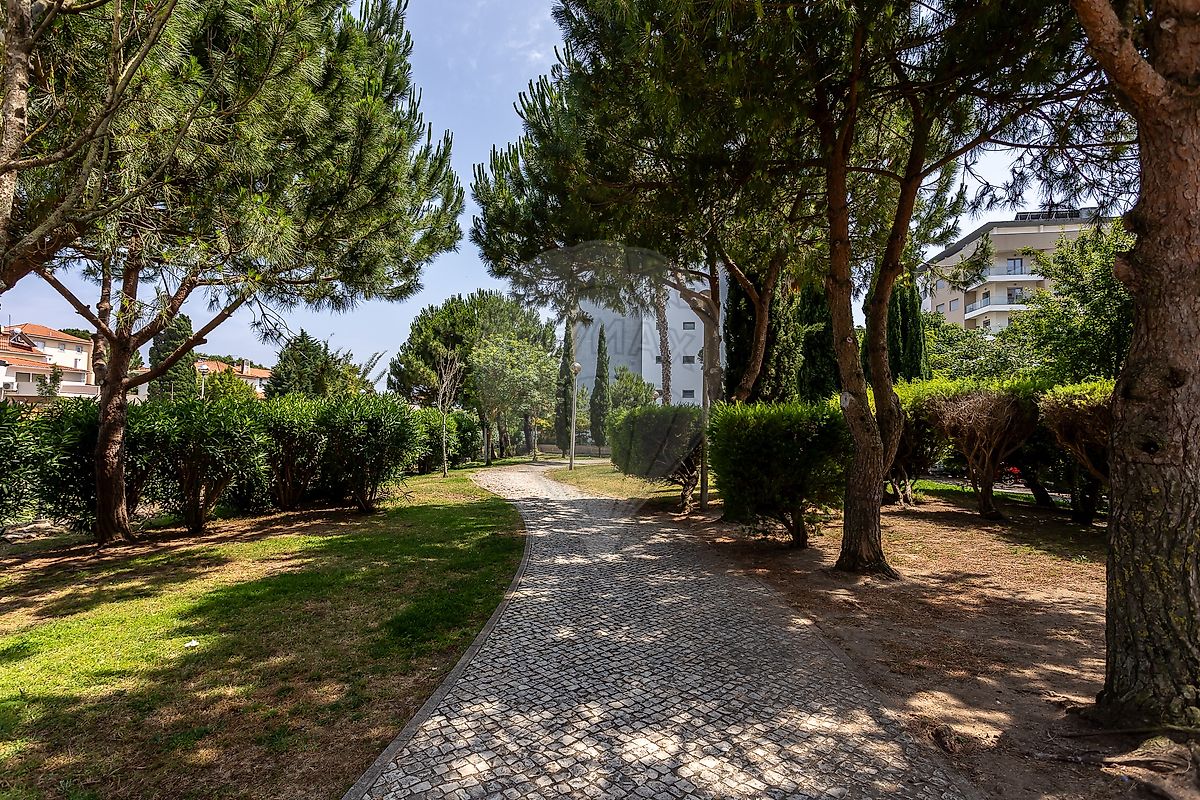 listing 124031301-170 picture-0