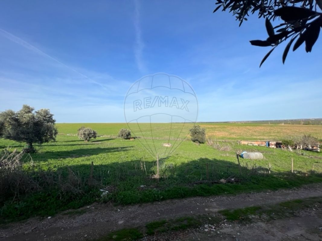listing-picture-0
