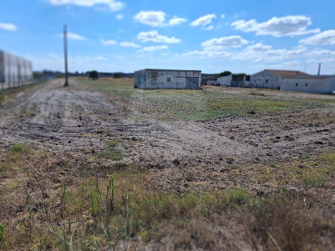 Terreno - Canha, Montijo, Setúbal