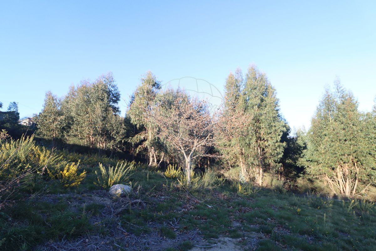 Terreno para venda