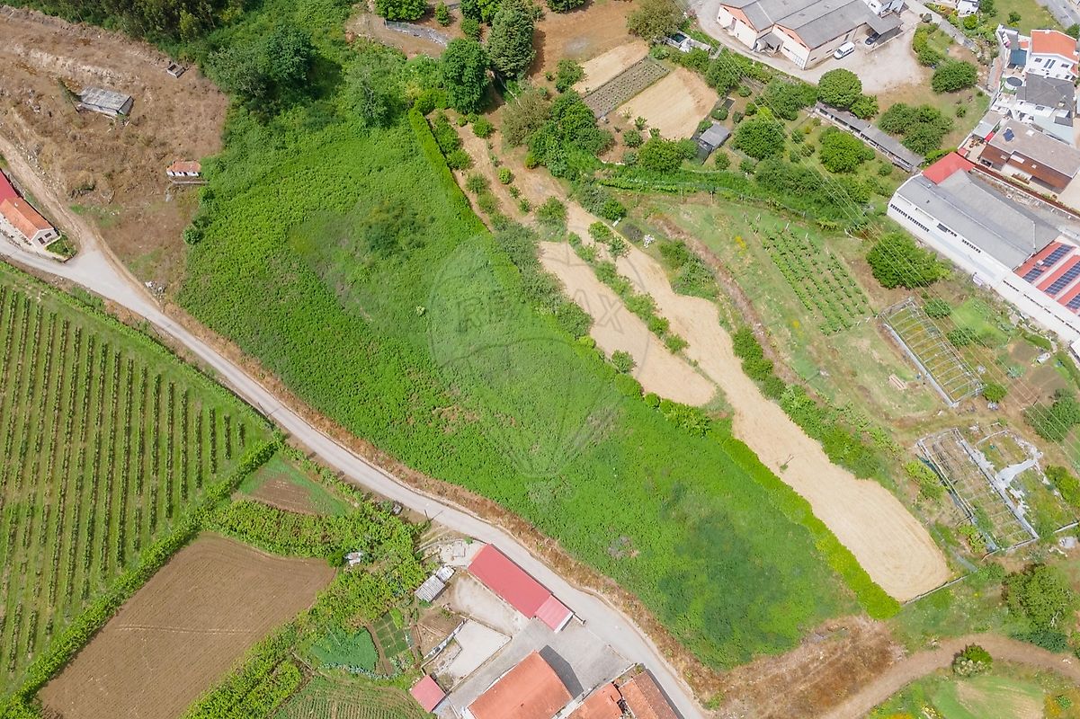 Land for sale in Felgueiras, Portugal — €250,000