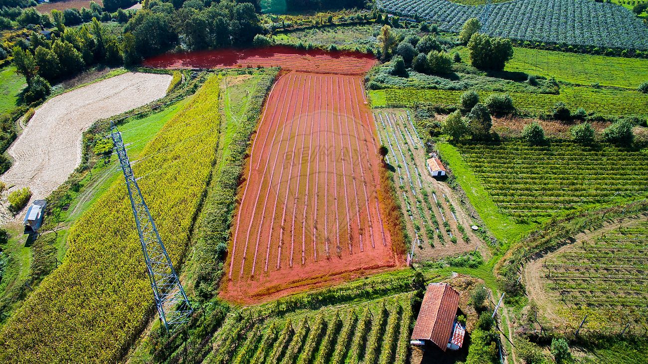 Terreno à venda em Felgueiras