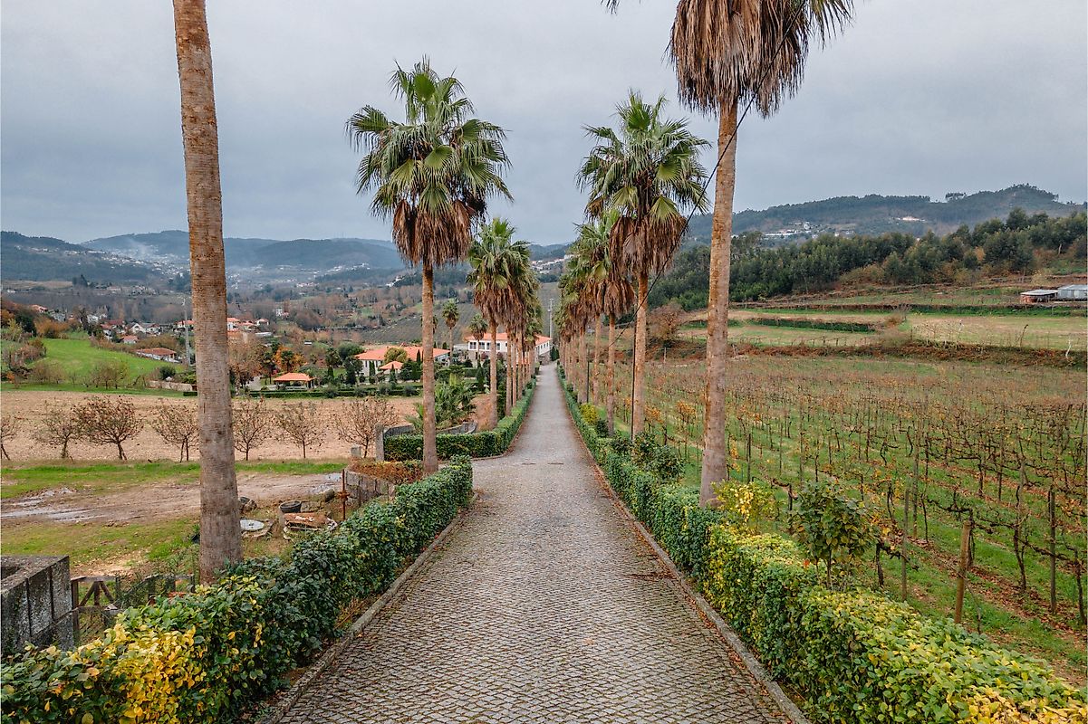 listing 124111001-3385 picture-0