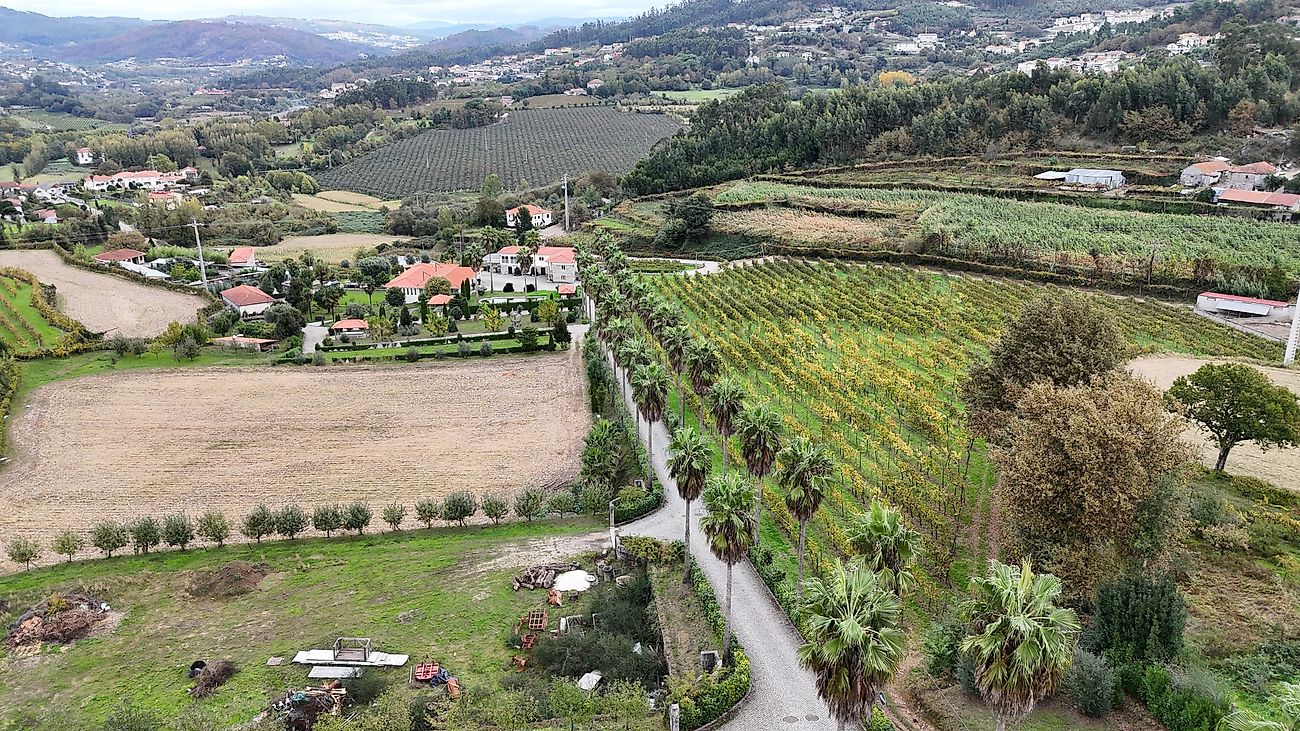 listing 124111001-3385 picture-0