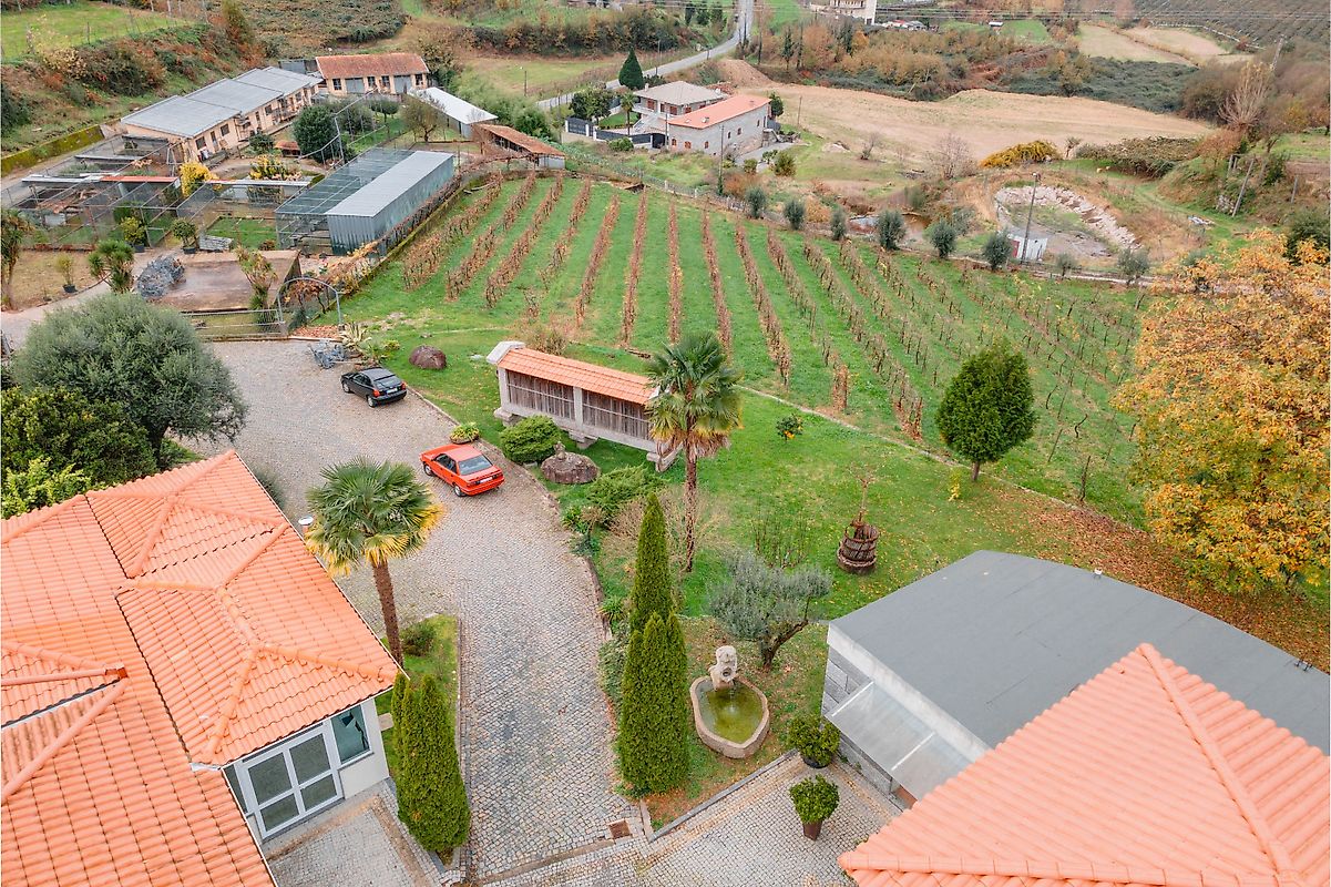 listing 124111001-3385 picture-0