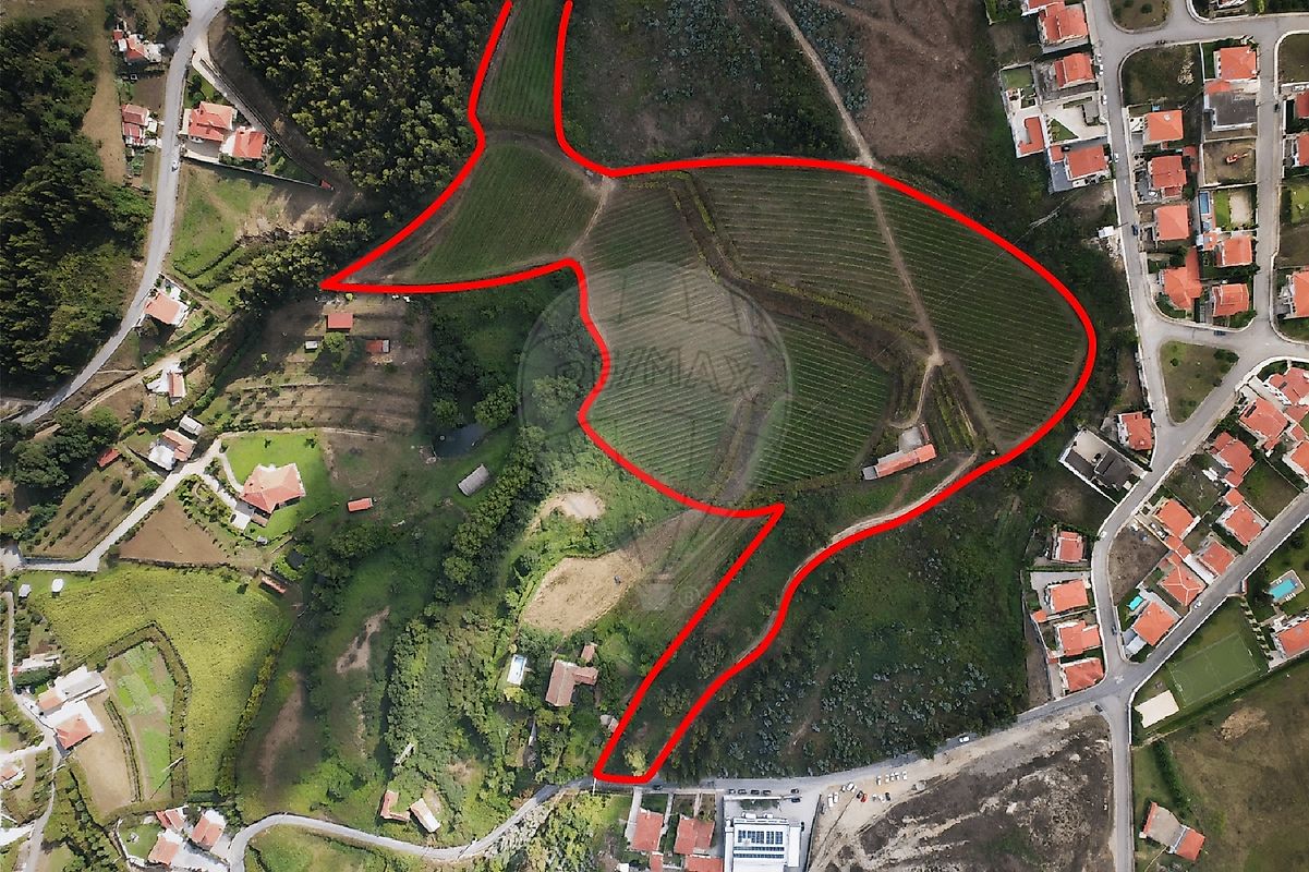 Quinta  à venda em Felgueiras