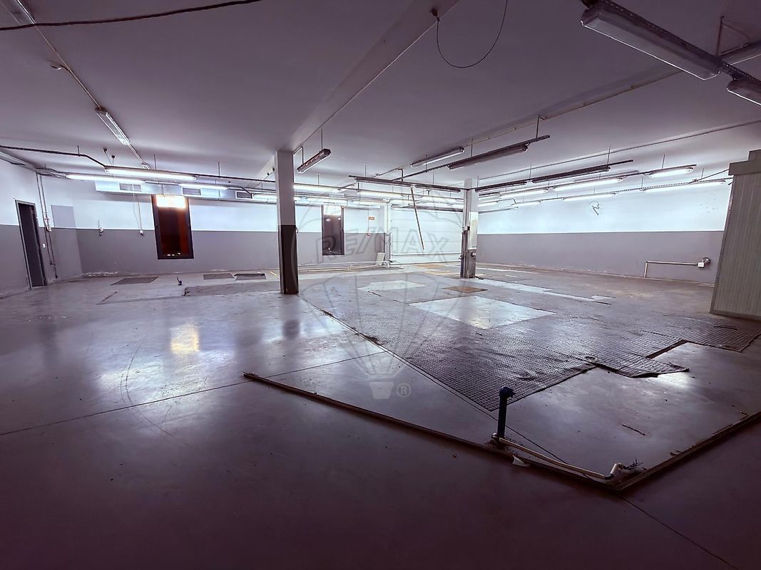 listing 124111001-3895 picture-0