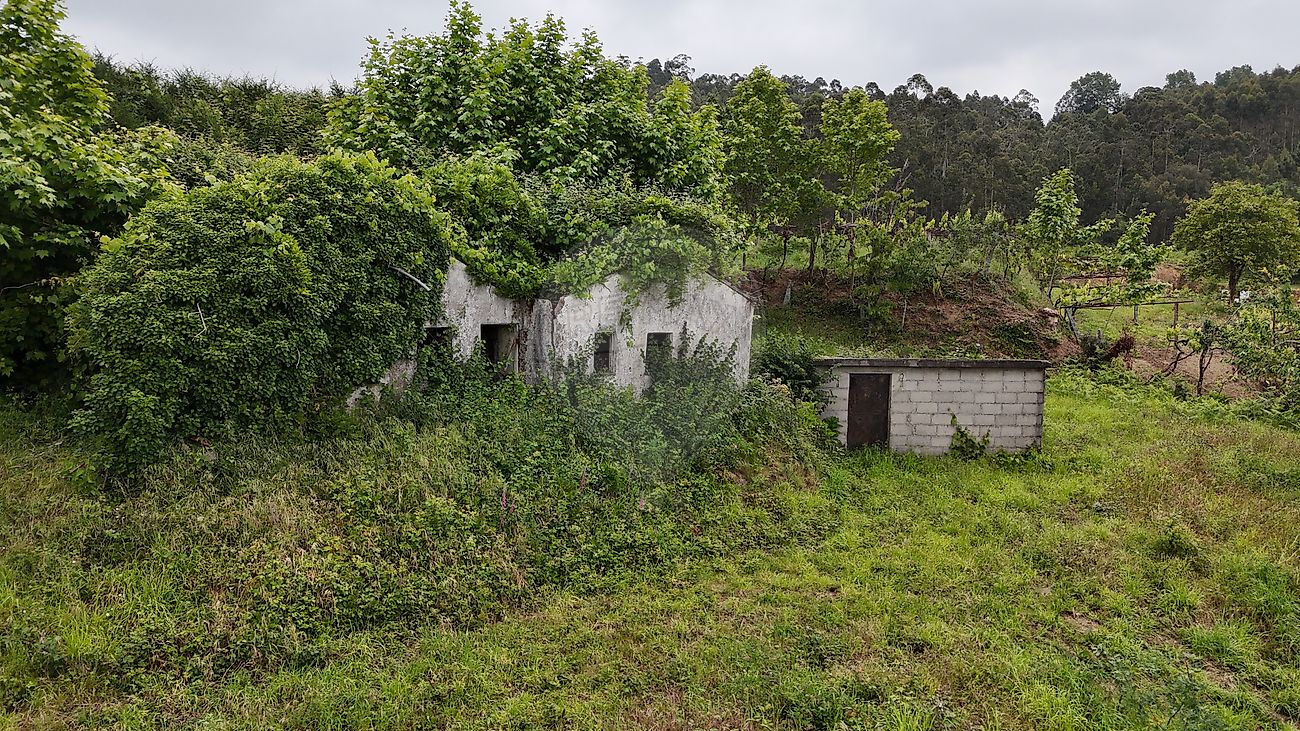Moradia T2 à venda em Margaride (Santa Eulália), Várzea, Lagares, Varziela e Moure, Felgueiras — foto 7