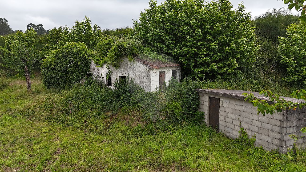 Moradia T2 à venda em Margaride (Santa Eulália), Várzea, Lagares, Varziela e Moure, Felgueiras — foto 8