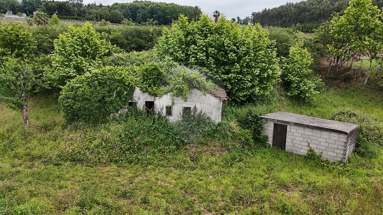Moradia T2 à venda em Margaride (Santa Eulália), Várzea, Lagares, Varziela e Moure, Felgueiras — foto 9