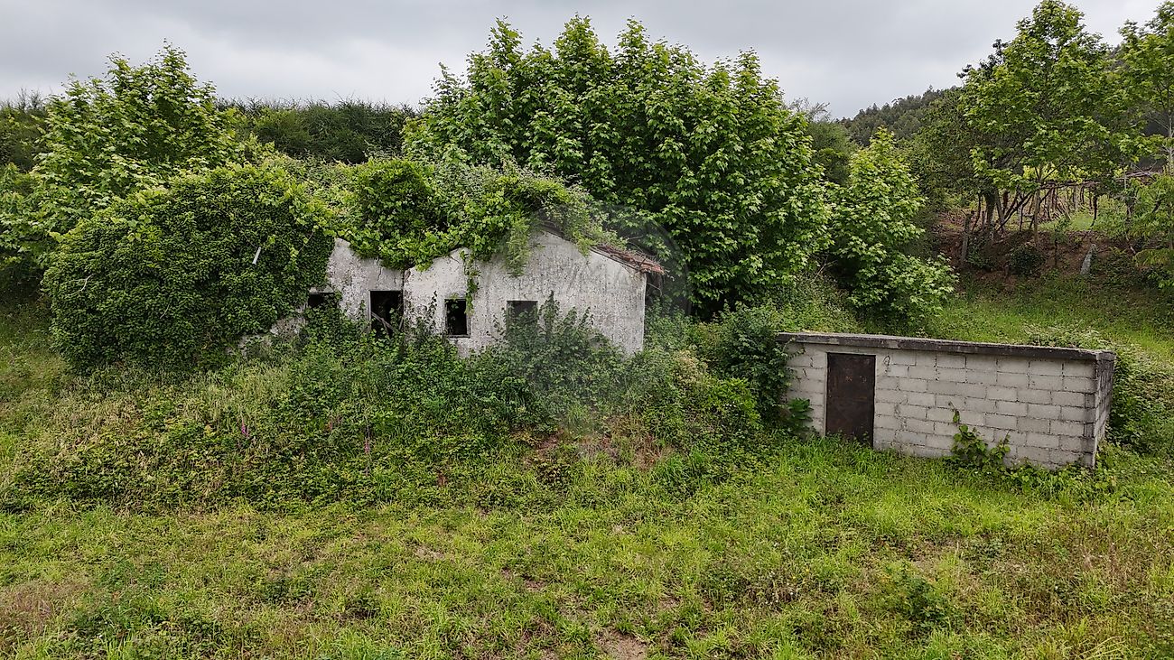 Moradia - Margaride (Santa Eulália), Várzea, Lagares, Varziela e Moure, Felgueiras, Porto