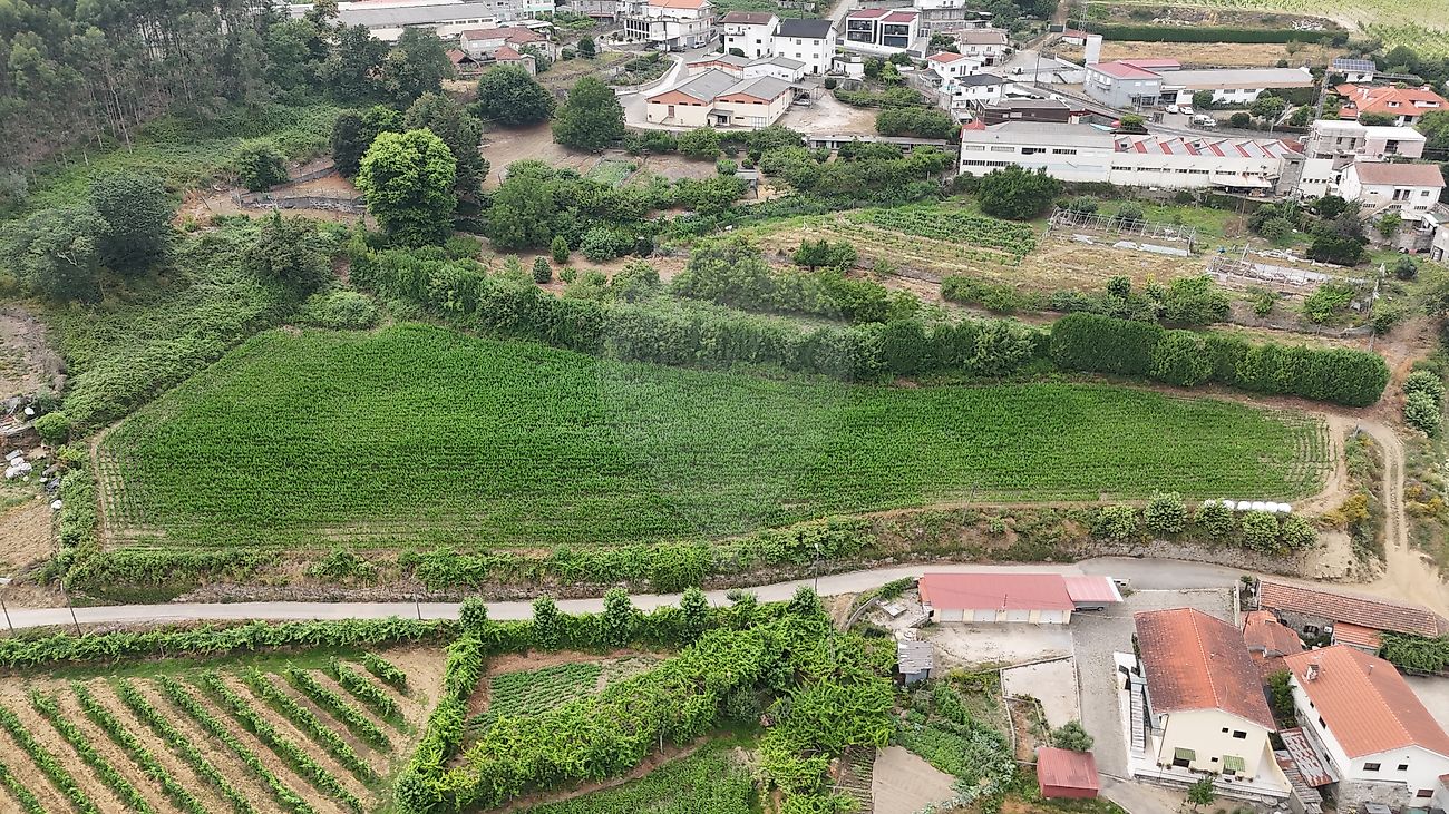 Terreno - Torrados e Sousa, Felgueiras, Porto