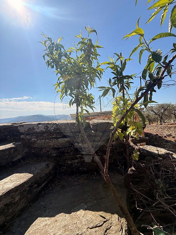 Moradia T2 à venda em Vale de Mendiz, Casal de Loivos e Vilarinho de Cotas, Alijó — foto 24