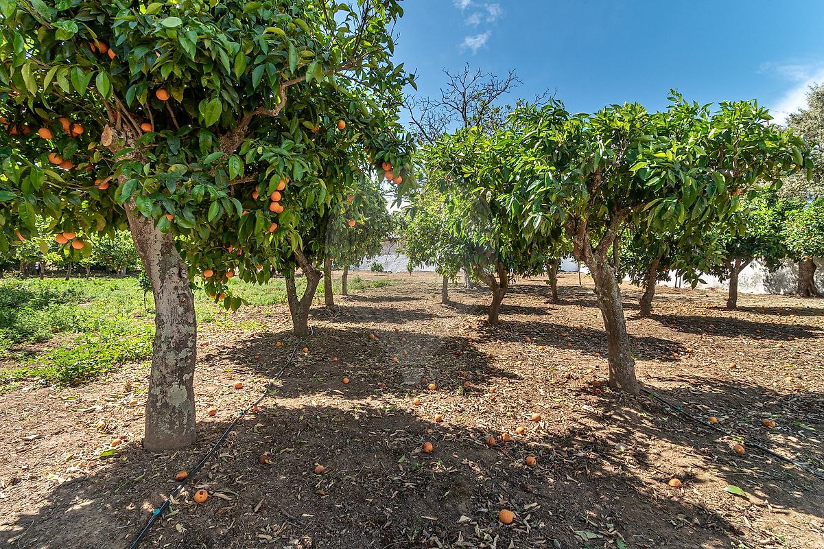 listing-picture-0