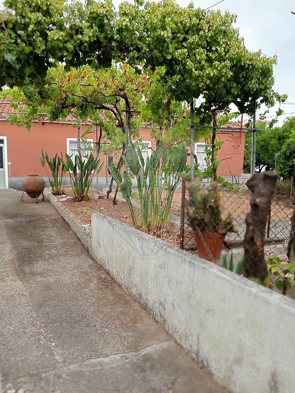 Moradia T4 à venda em Torres Novas (São Pedro), Lapas e Ribeira Branca, Torres Novas — foto 8
