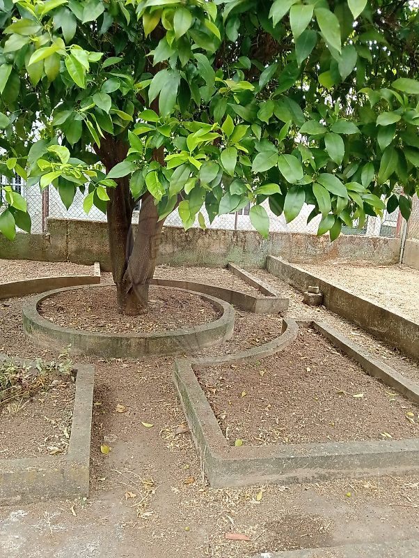 Moradia T4 à venda em Torres Novas (São Pedro), Lapas e Ribeira Branca, Torres Novas — foto 7
