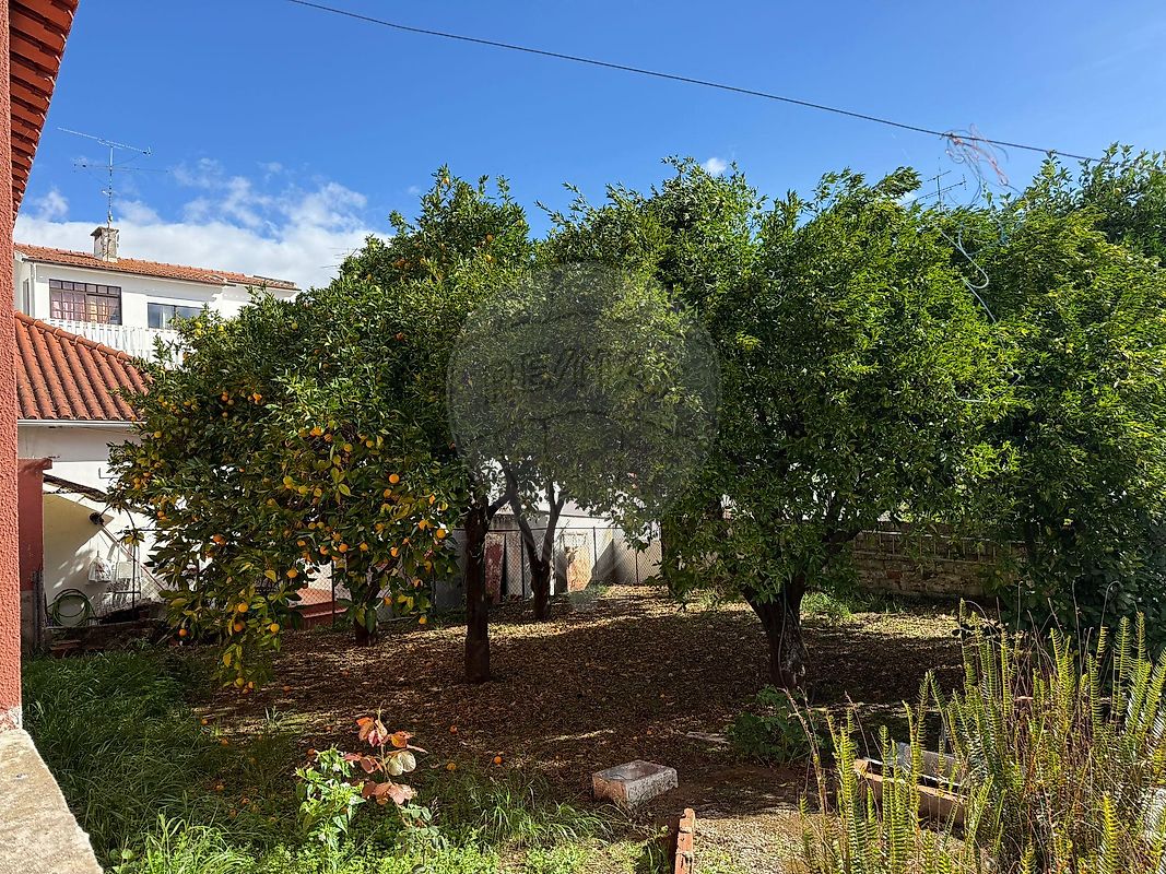 Moradia T4 à venda em Torres Novas (São Pedro), Lapas e Ribeira Branca, Torres Novas — foto 9
