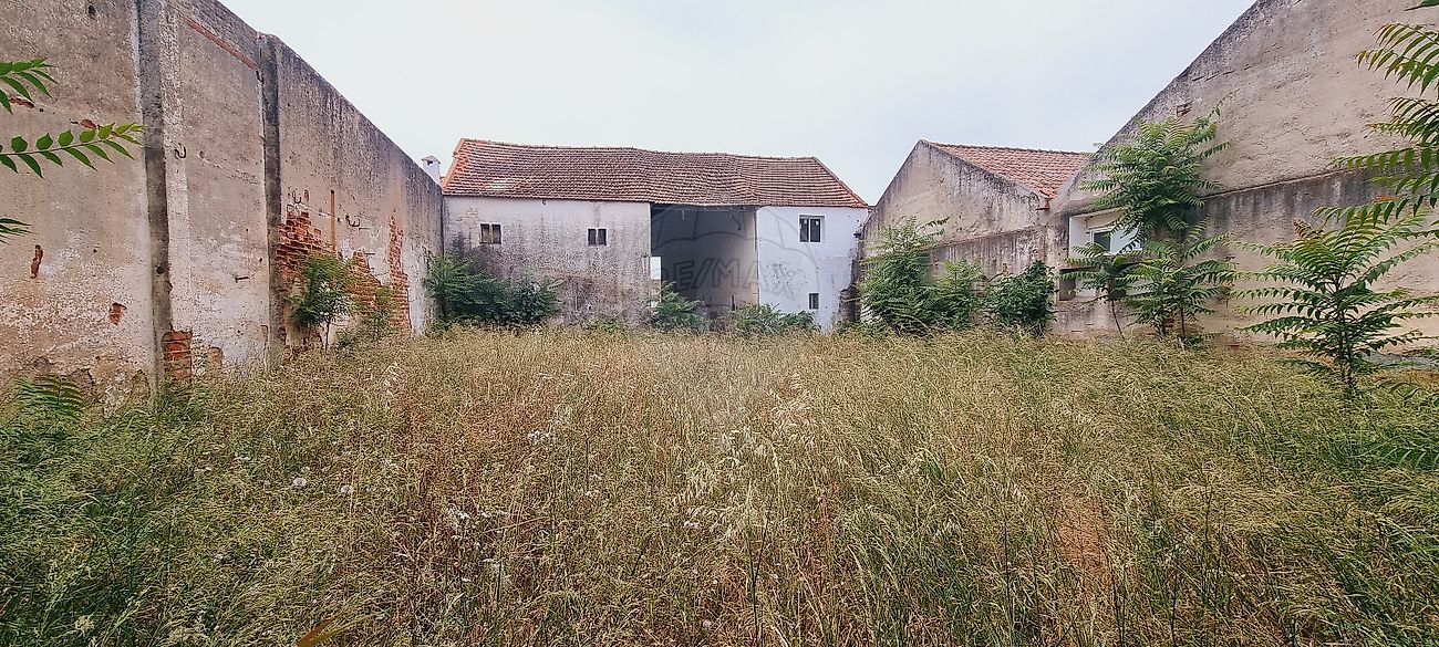 Land for sale in Montemor-o-Novo, Portugal — €300,000