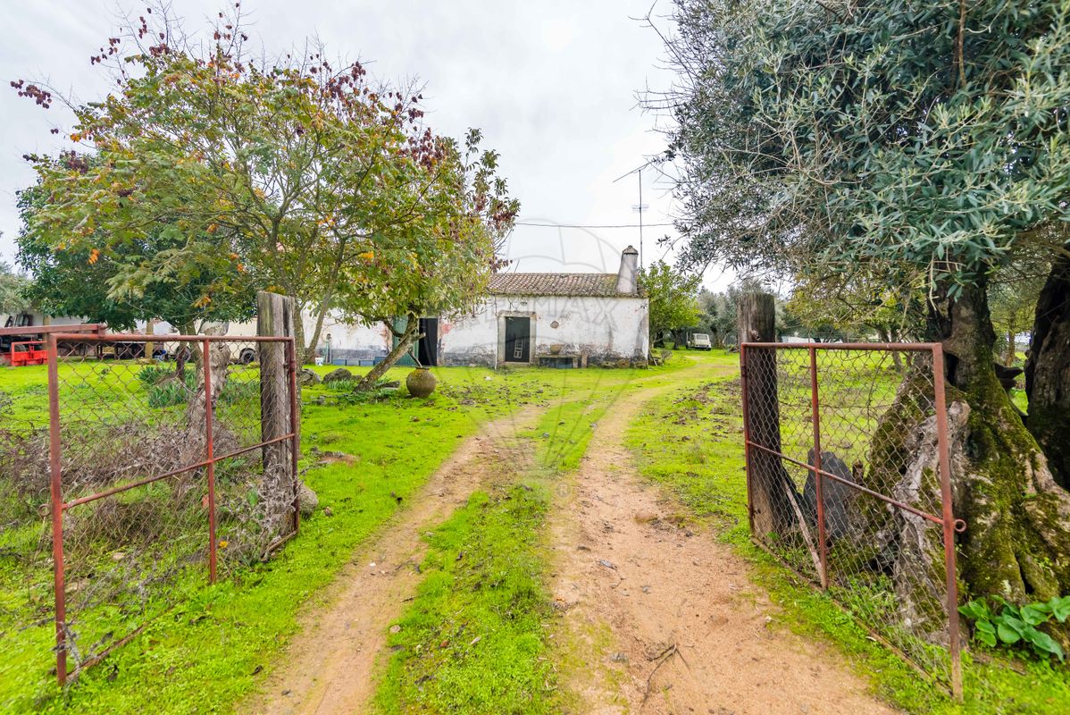 listing-picture-0