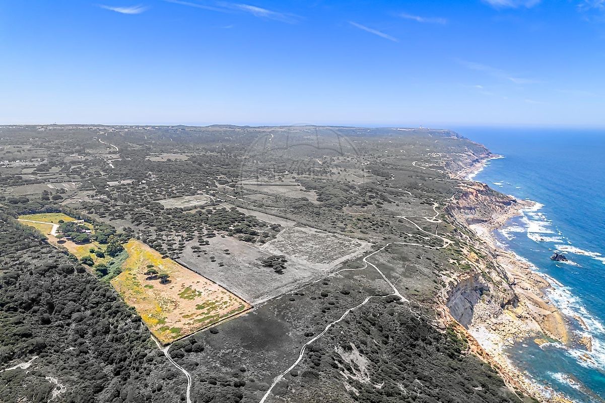 listing-picture-0
